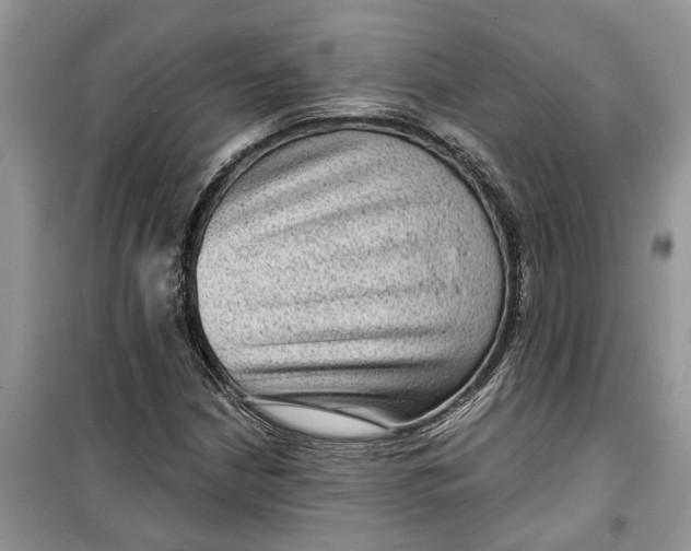 X0000099501210200805291120