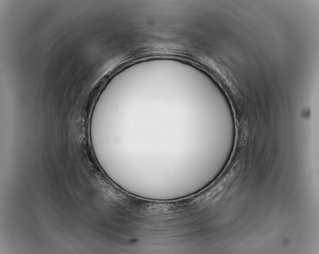 X0000099501211200805291120