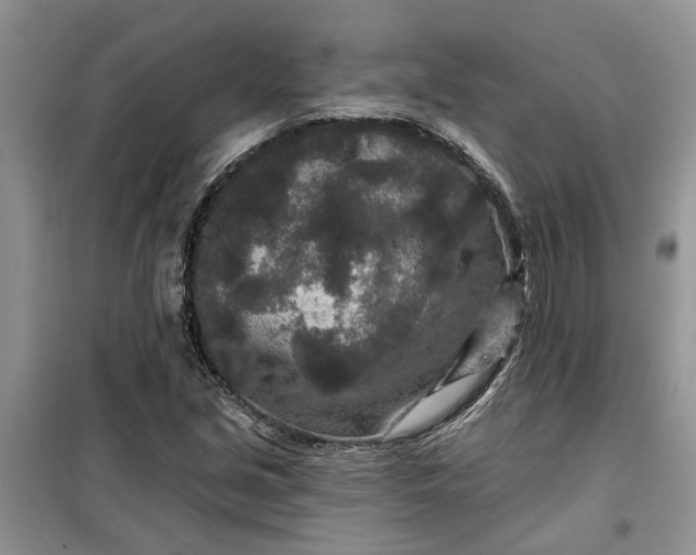 X0000099501213200805291121