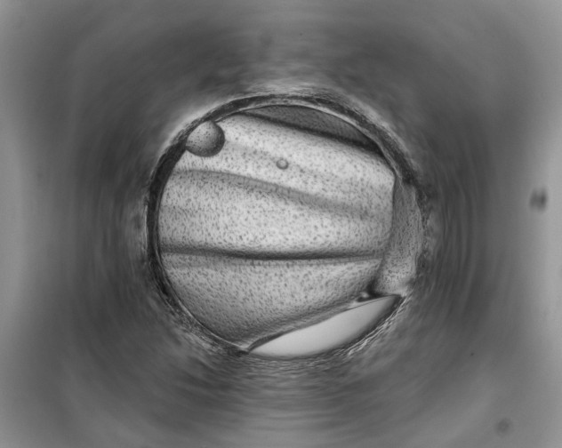 X0000099501214200805291121