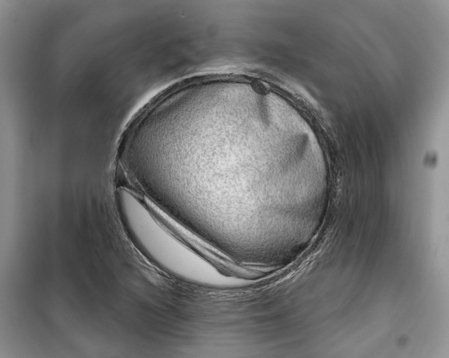 X0000099501216200805291121