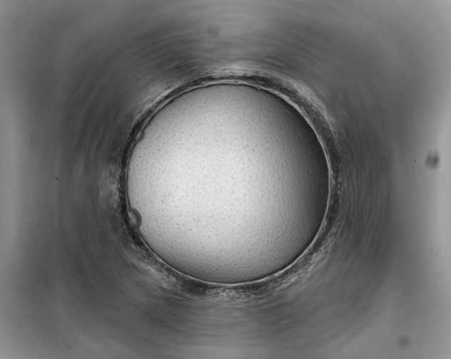 X0000099501217200805291121