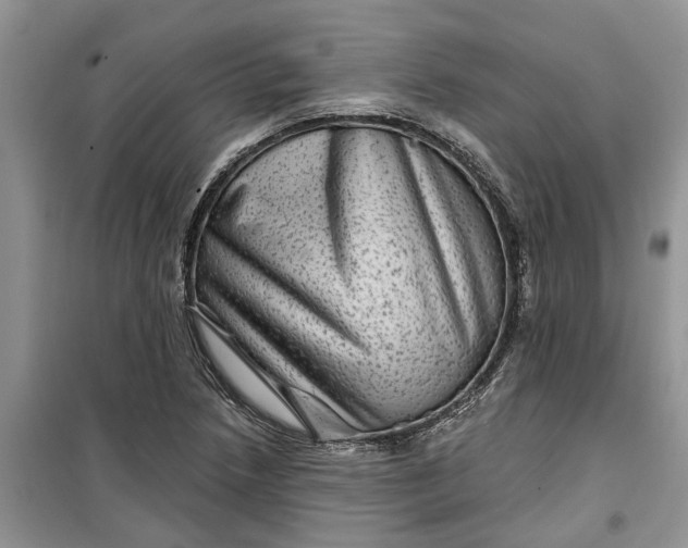X0000099501218200805291121