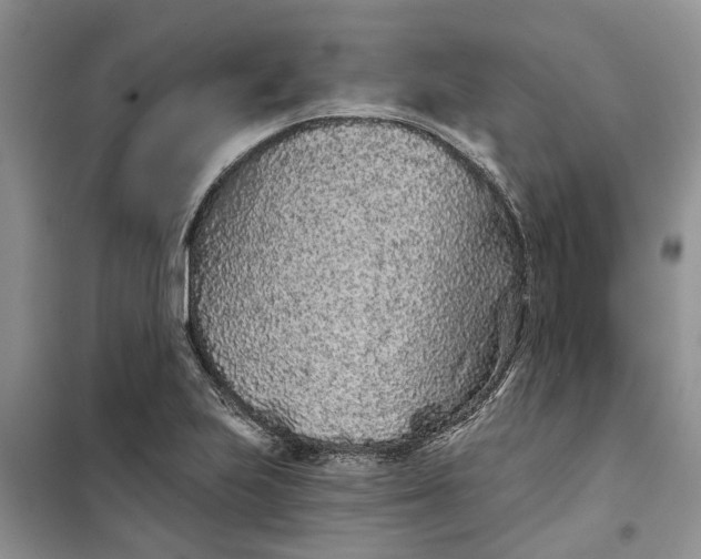 X0000099501223200805291121