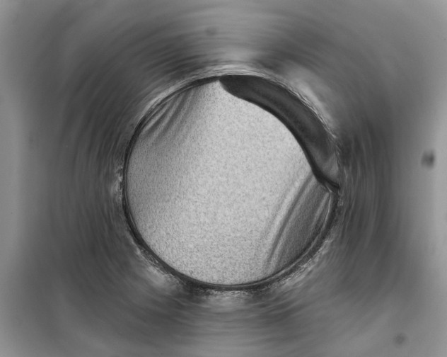 X0000099501225200805291121