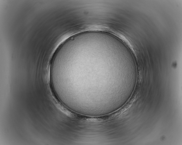 X0000099501227200805291121