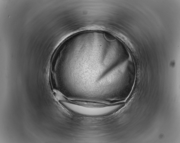 X0000099501228200805291121