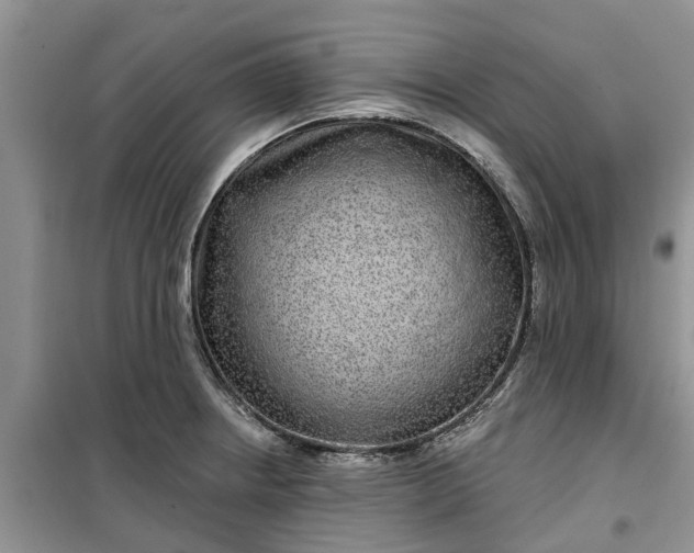 X0000099501234200805291121