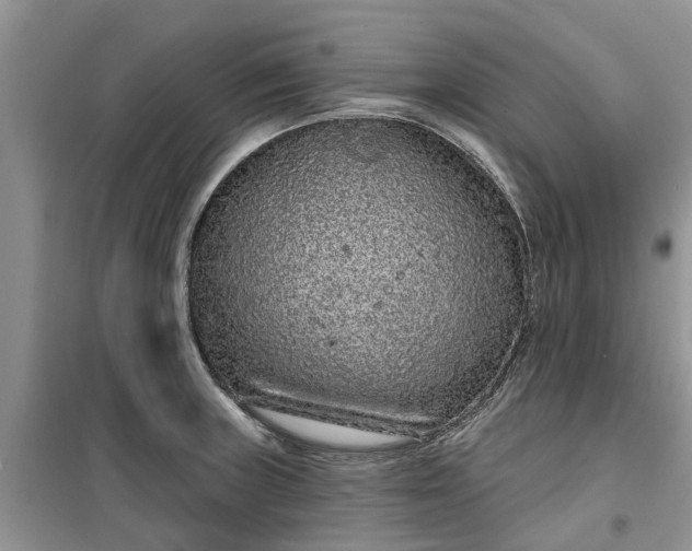 X0000099501235200805291121