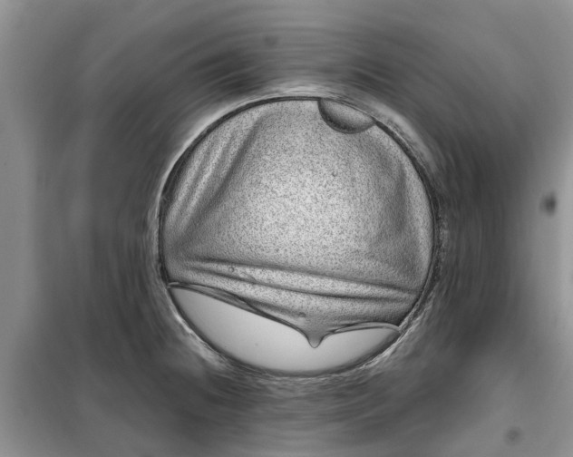 X0000099501236200805291121