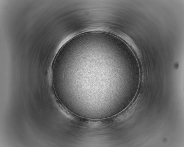 X0000099501242200805291121