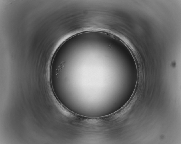 X0000099501246200805291121