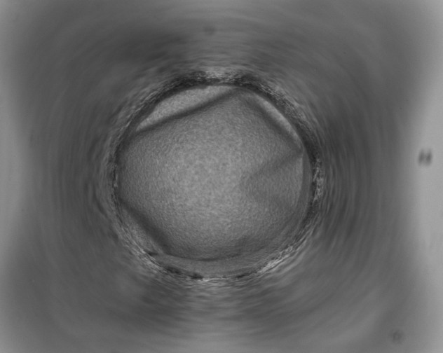 X0000099501249200805291120