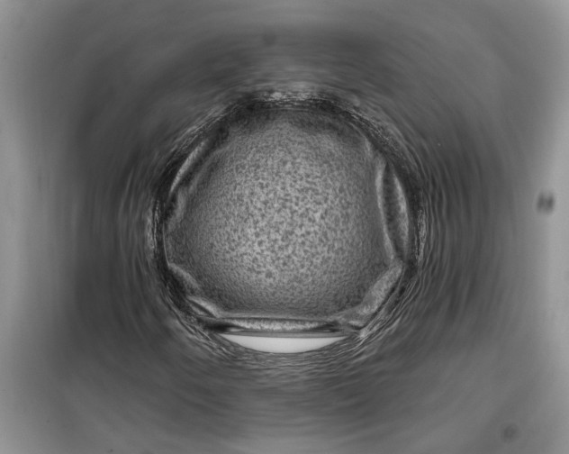 X0000099501250200805291120