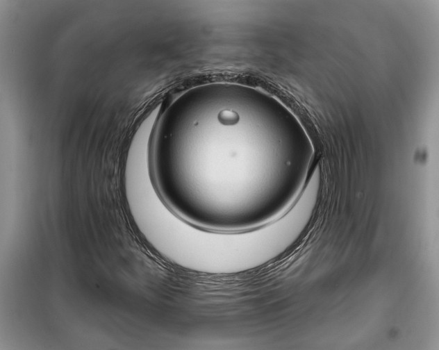 X0000099501252200805291120
