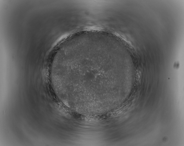 X0000099501254200805291120
