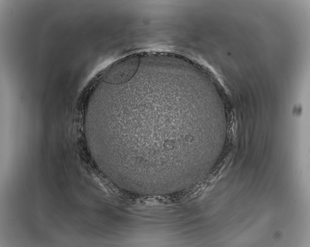 X0000099501255200805291120