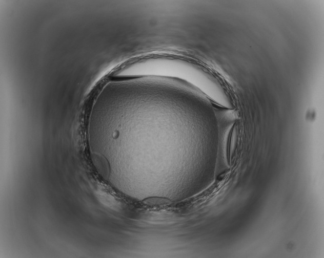X0000099501256200805291120