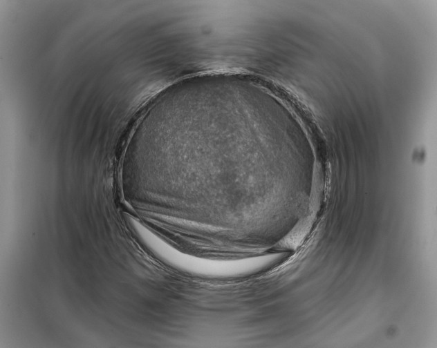 X0000099501257200805291120