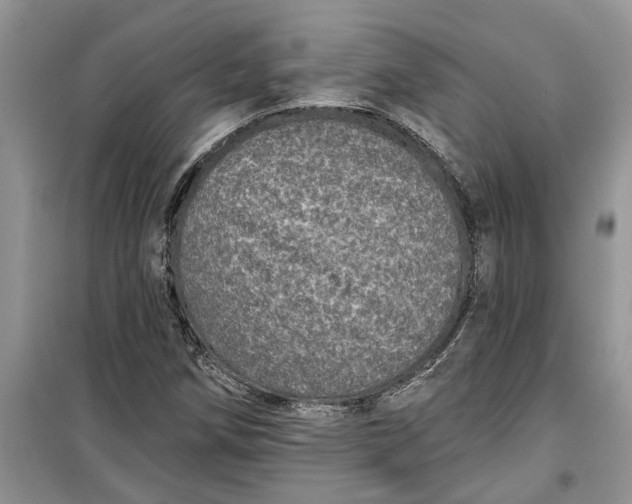 X0000099501258200805291120