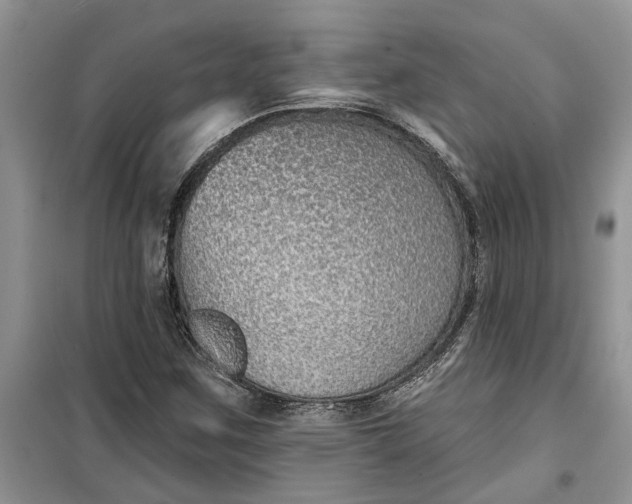 X0000099501259200805291120