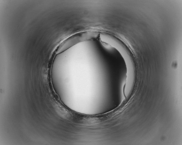 X0000099501260200805291120