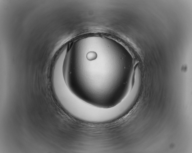 X0000099501261200805291120