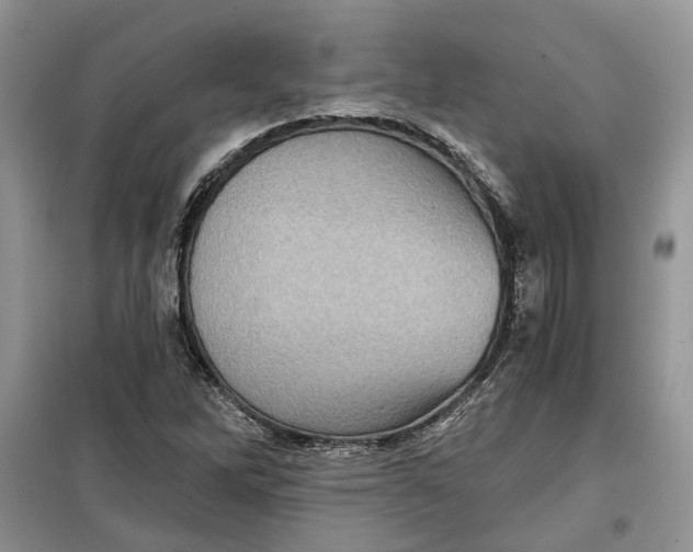 X0000099501262200805291120