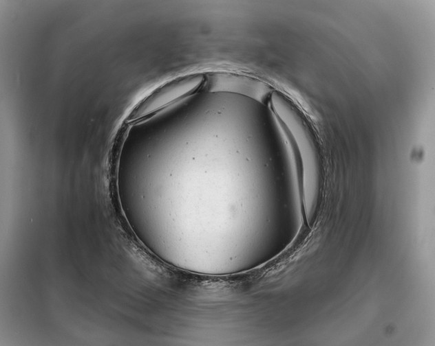 X0000099501264200805291120