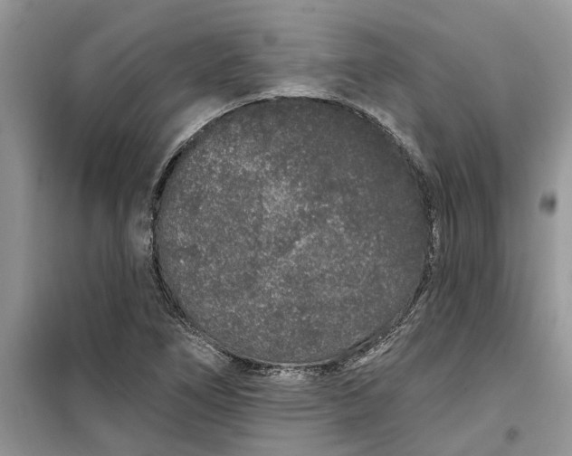 X0000099501266200805291120