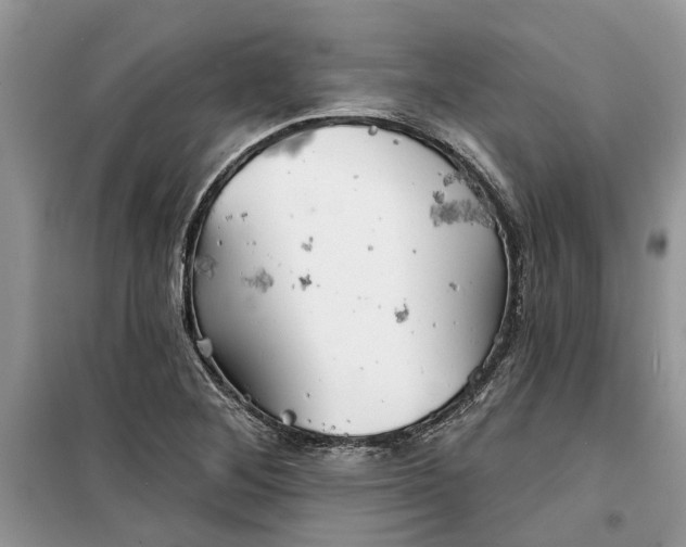 X0000099501268200805291120