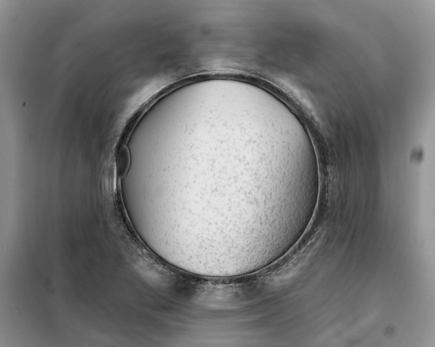 X0000099501269200805291120