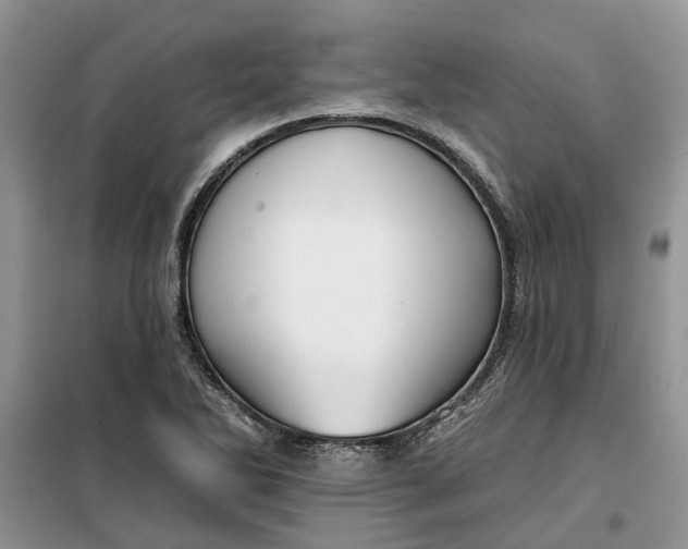 X0000099501270200805291120