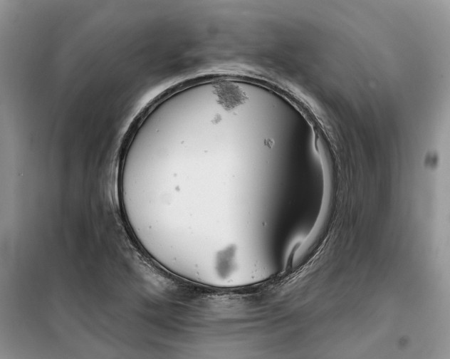 X0000099501272200805291120