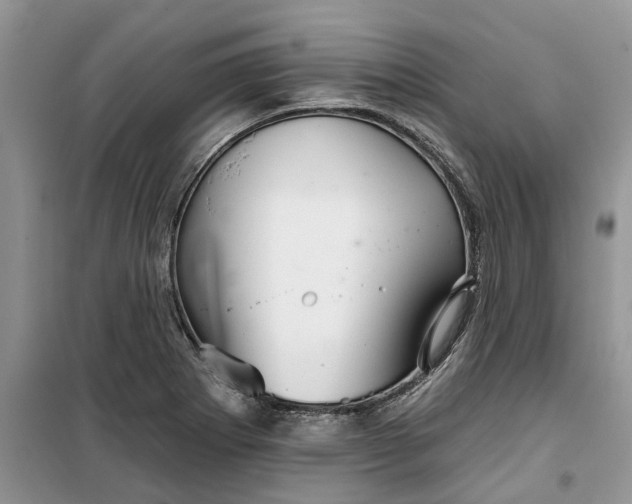 X0000099501273200805291120