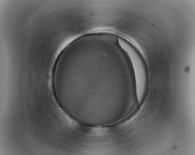 X0000099501277200805291120
