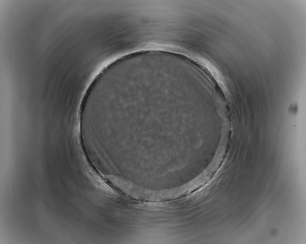 X0000099501280200805291120