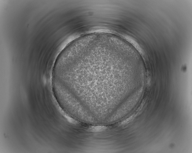 X0000099501282200805291120