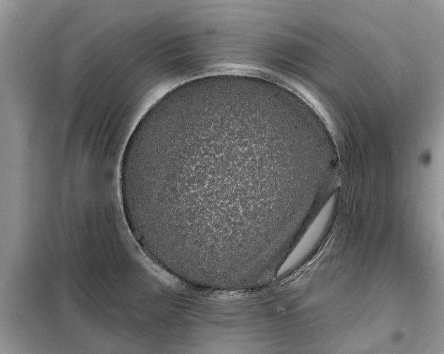 X0000099501283200805291120