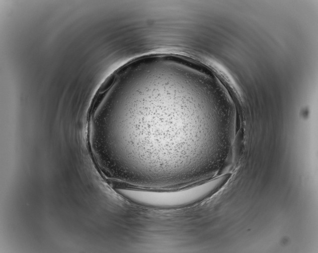 X0000099501284200805291120