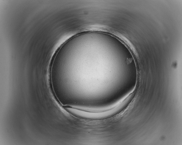 X0000099501285200805291120