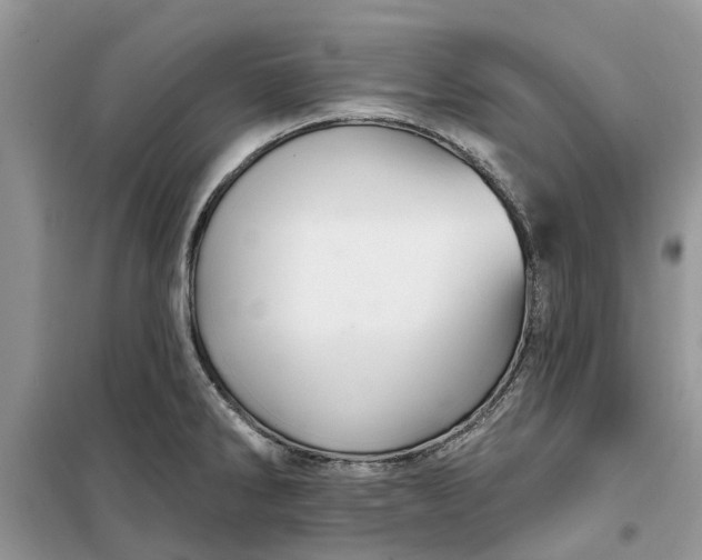X0000099501286200805291120