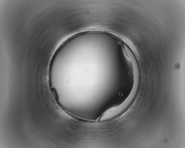 X0000099501288200805291120