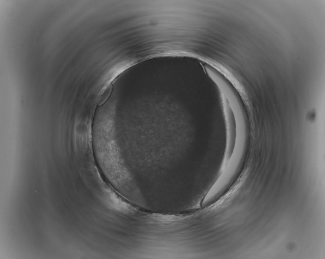 X0000099501289200805291120