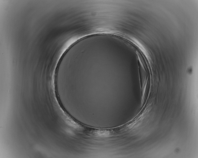 X0000099501291200805291120