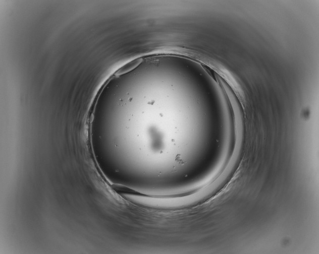 X0000099501292200805291120