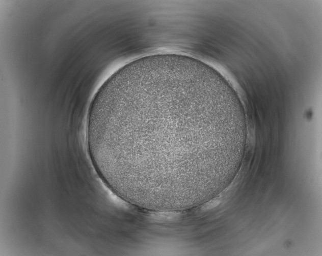 X0000099501294200805291120
