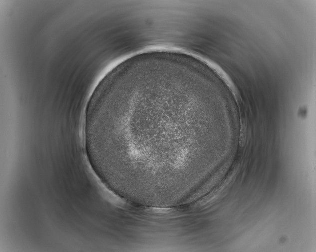 X0000099501295200805291120