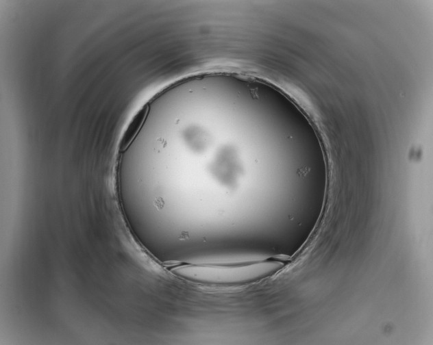 X0000099501296200805291120