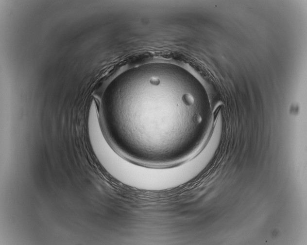 X0000099501298200805291119